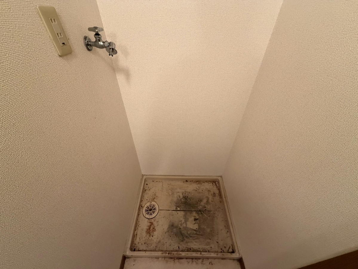 洗面所 写真10