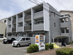 サン・フローリッシュ