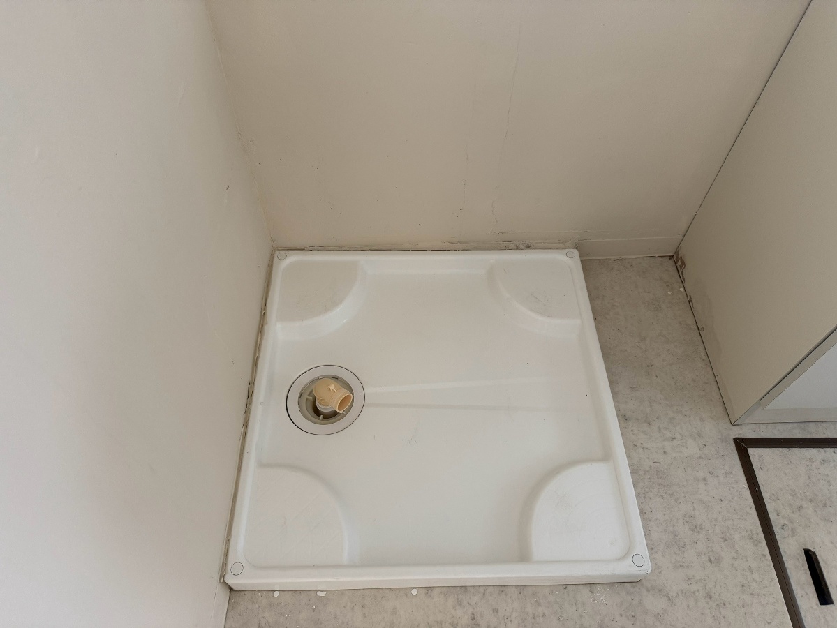 洗面所 写真12