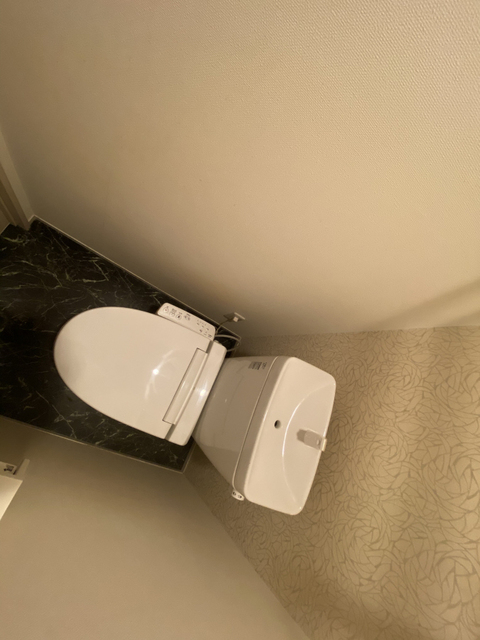 トイレ 写真11