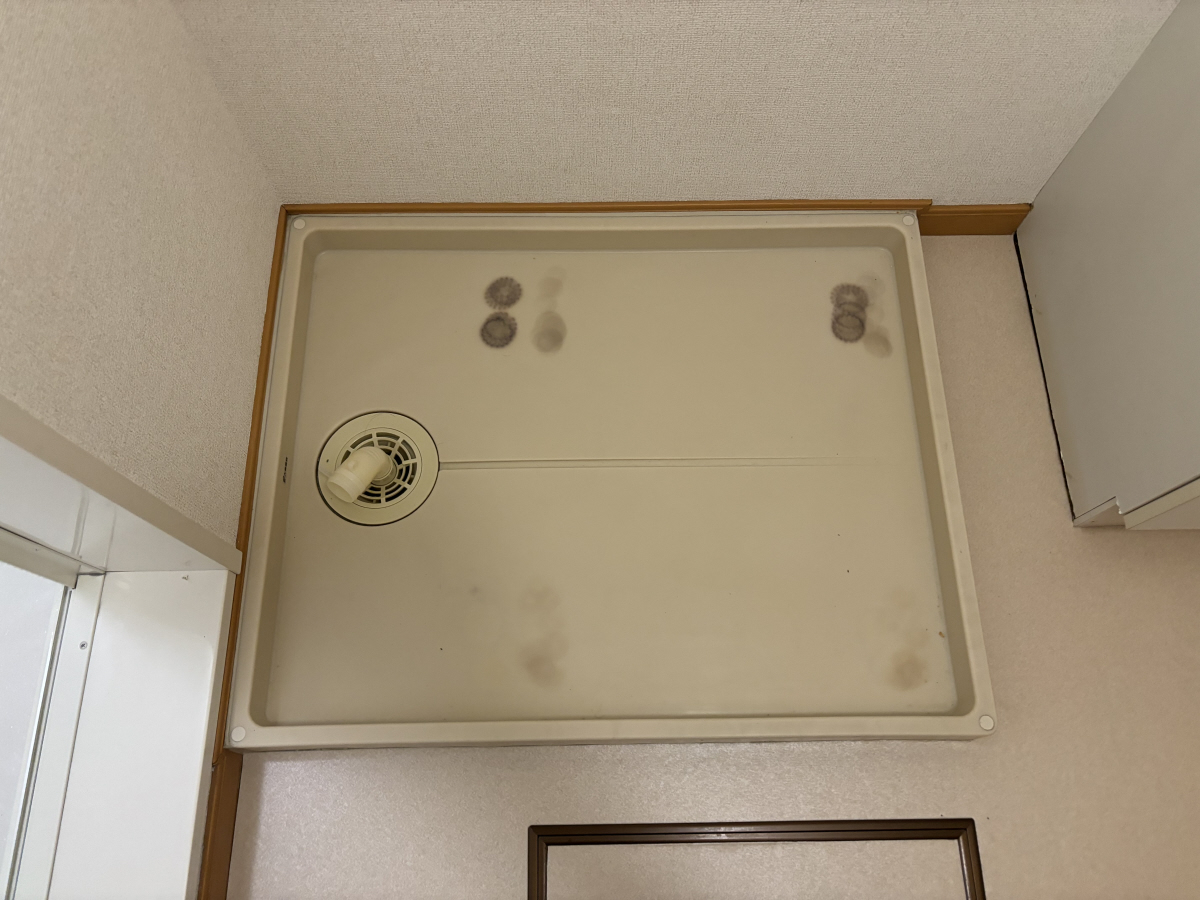写真29