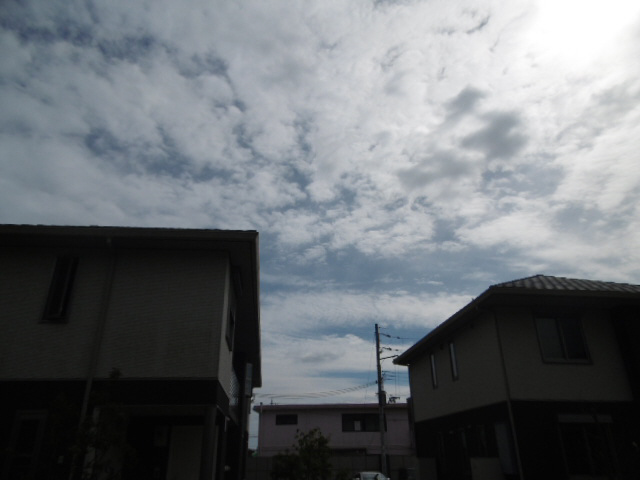 眺望 写真17