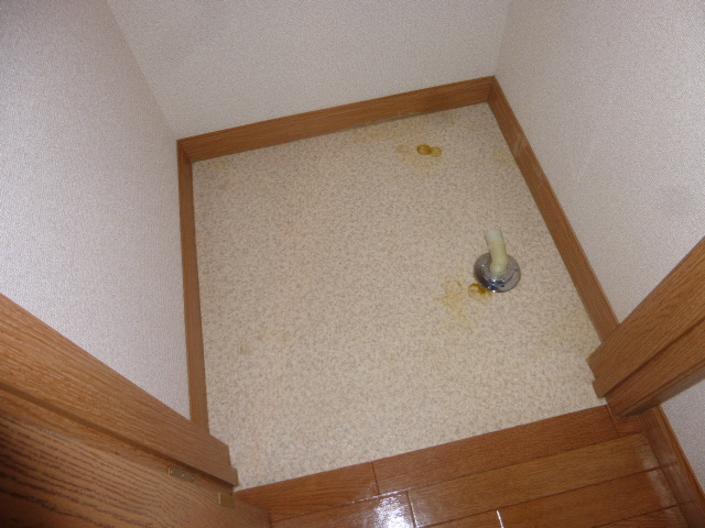 写真17