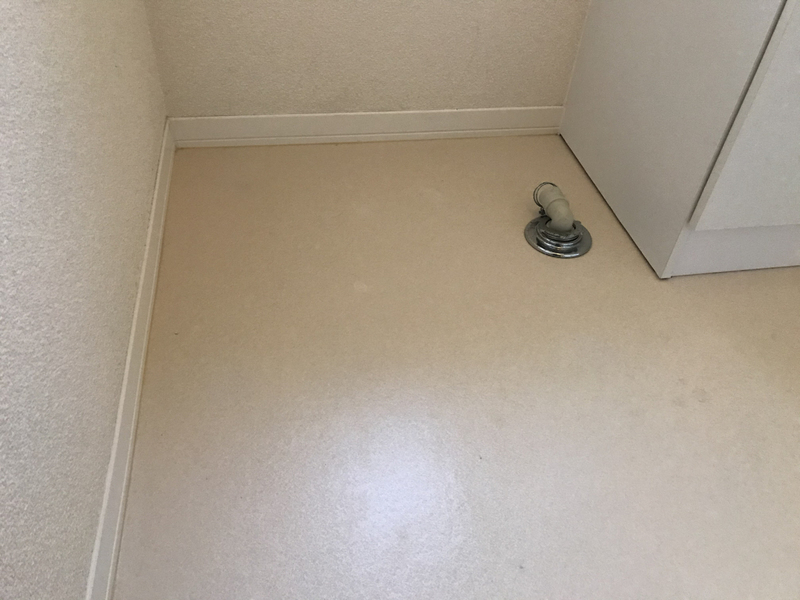 写真29