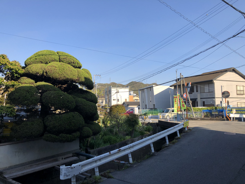 眺望 写真20
