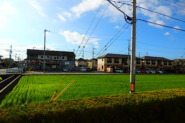 眺望 写真18