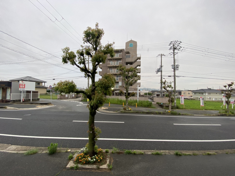 眺望 写真18