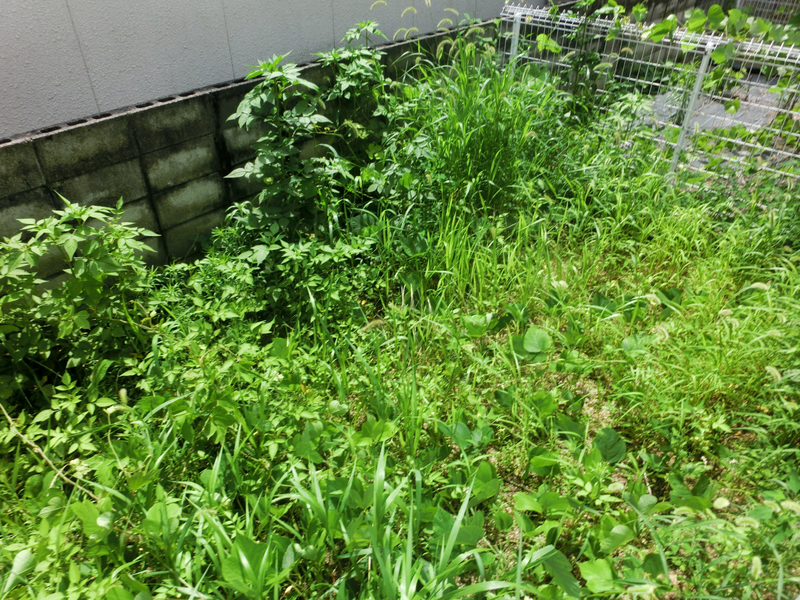 バルコニー・ベランダ 写真17