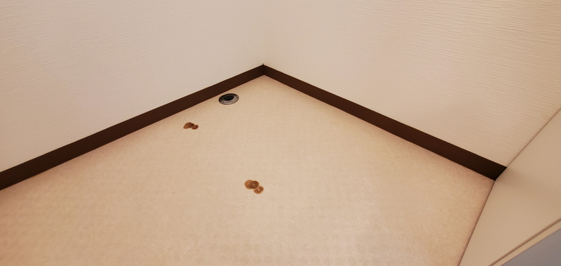 内装 写真2