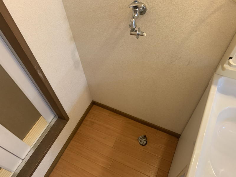 その他部屋・スペース 写真9