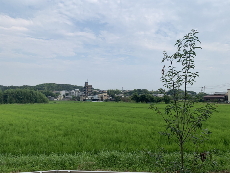 眺望 写真28