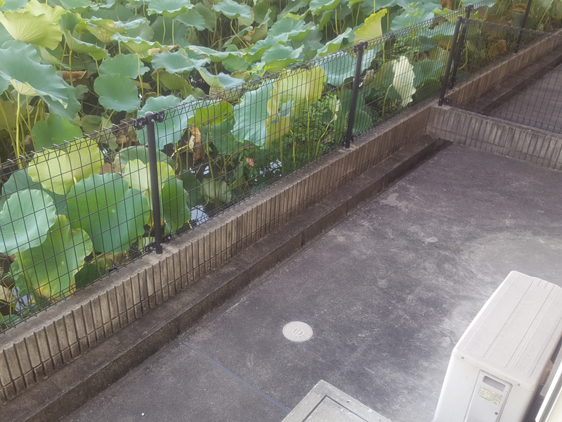 バルコニー・ベランダ 写真18