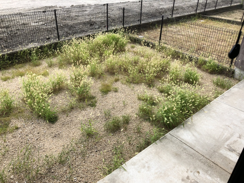 バルコニー・ベランダ 写真17