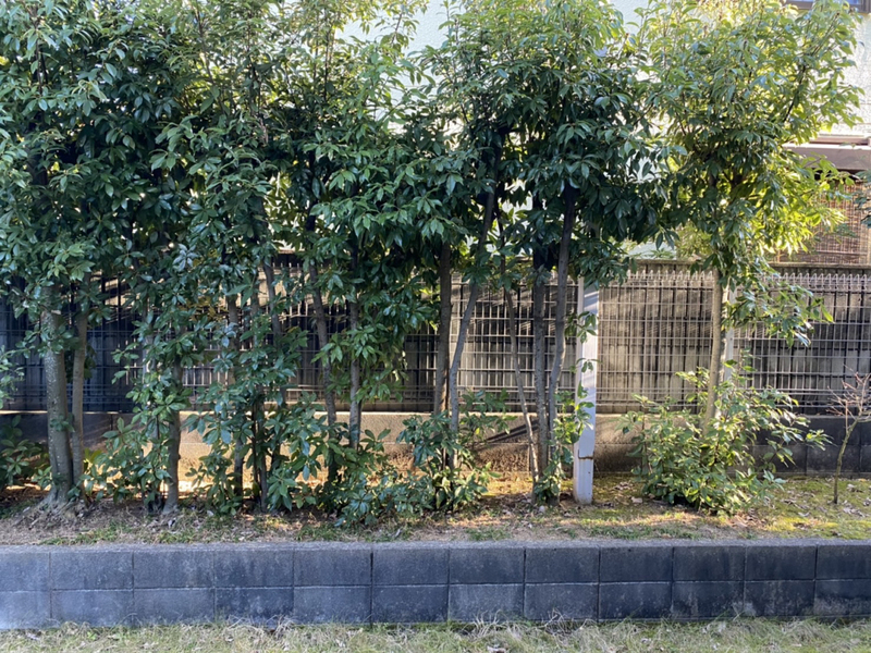 眺望 写真28