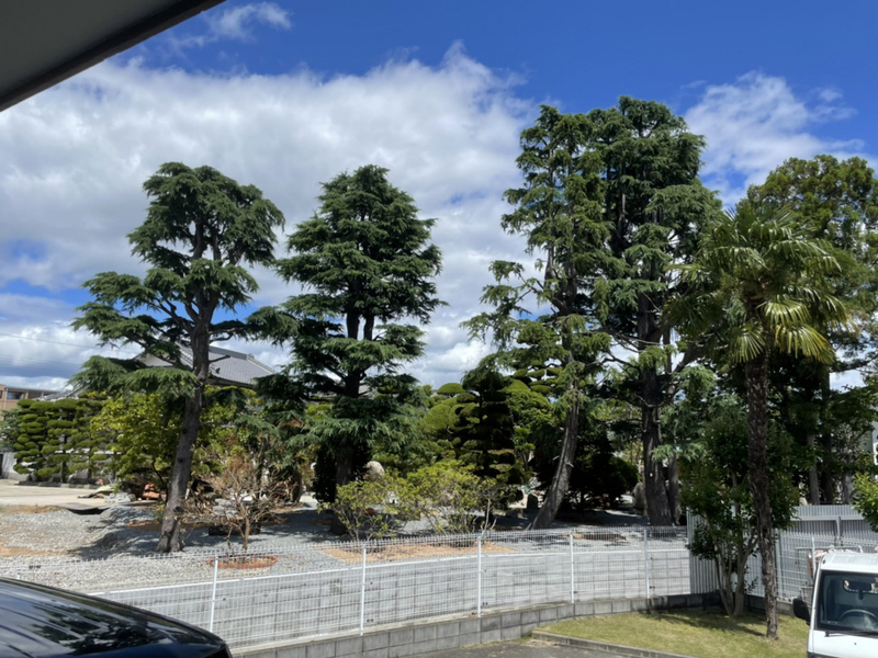 眺望 写真20