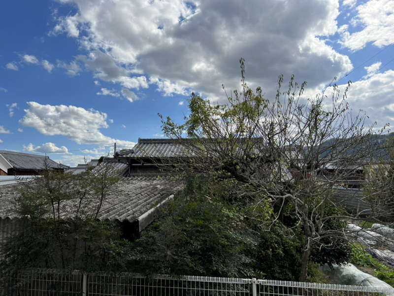 眺望 写真28