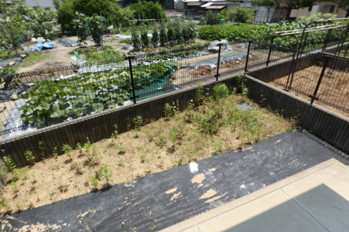 バルコニー・ベランダ 写真10