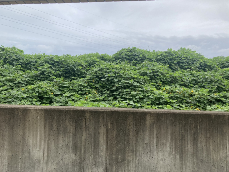 眺望 写真20