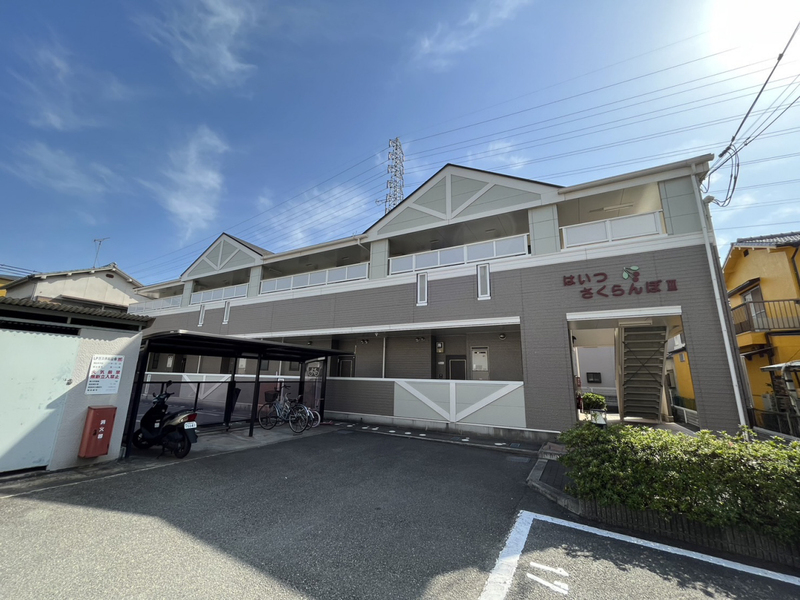 はいつさくらんぼⅢ
