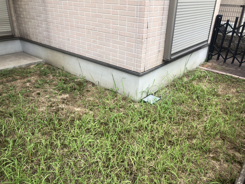 庭 写真16