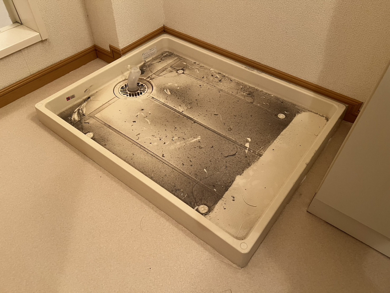 写真28
