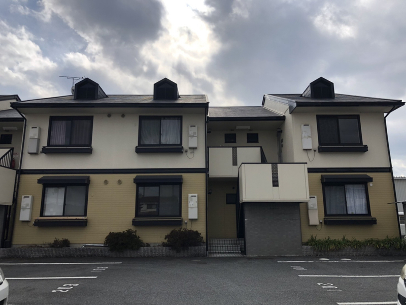 ピュアリティ21