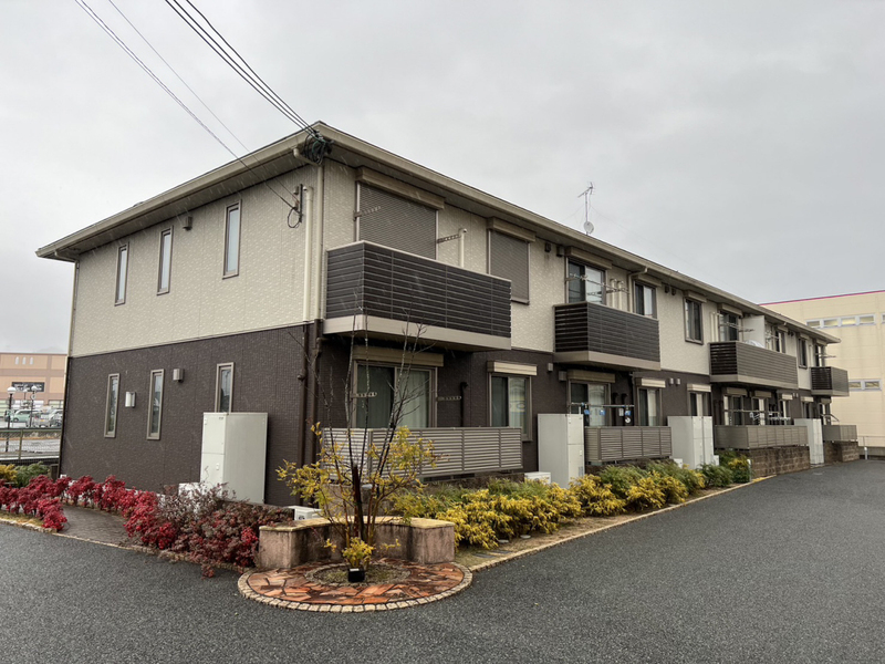 シュシュしらかし