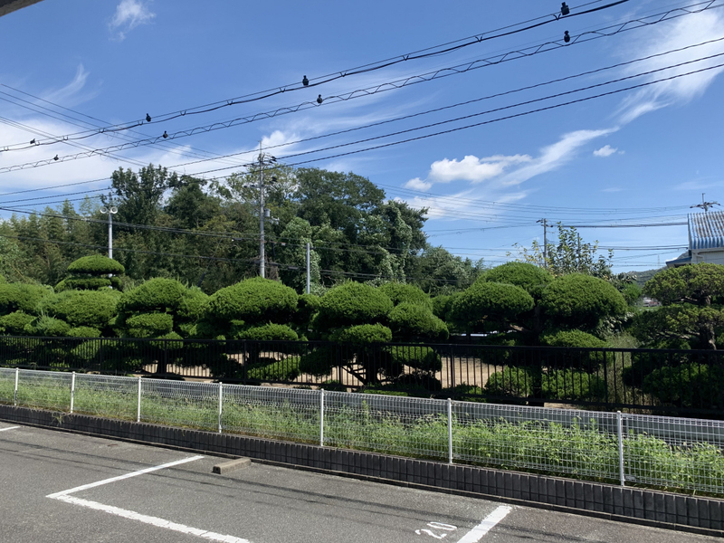 眺望 写真18