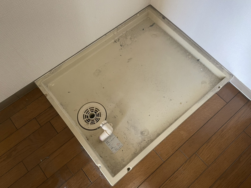 写真29