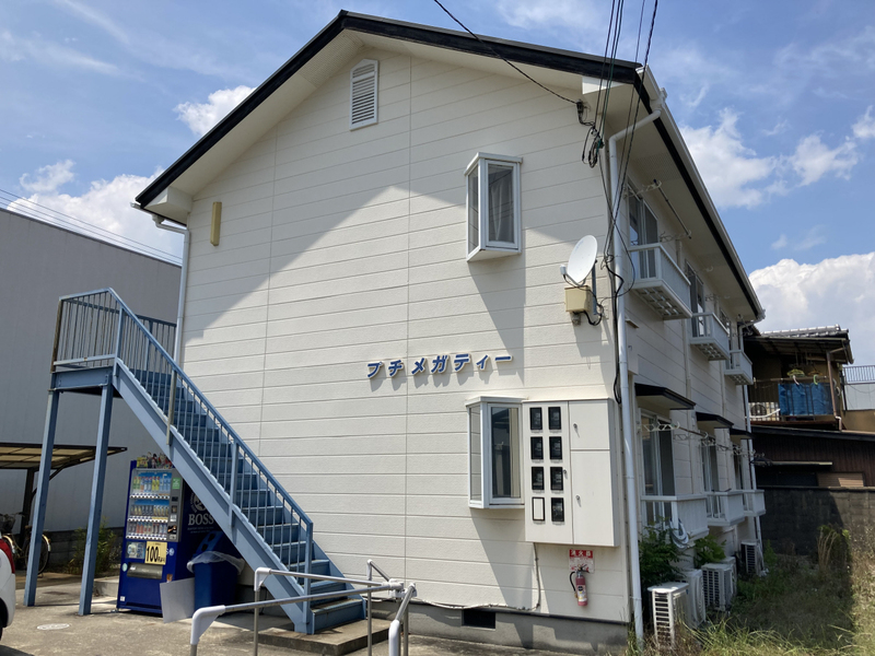 プチメガティー