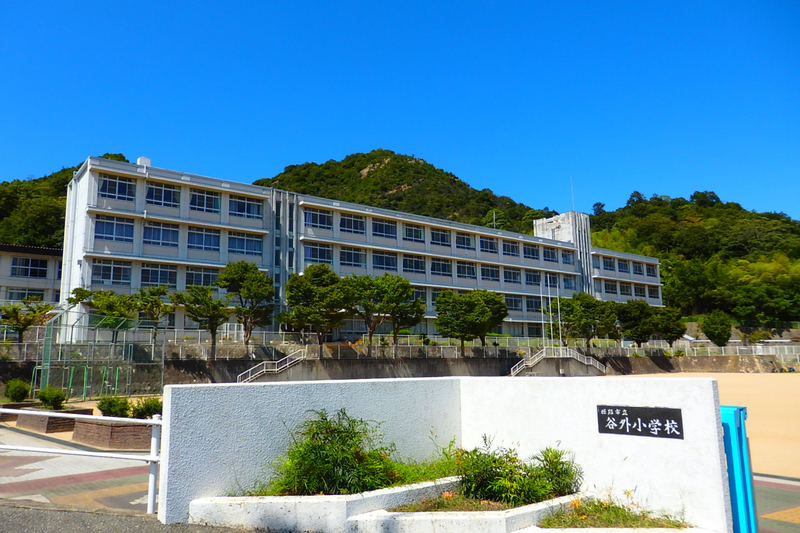 谷外小学校まで810m (徒歩11分) 写真21