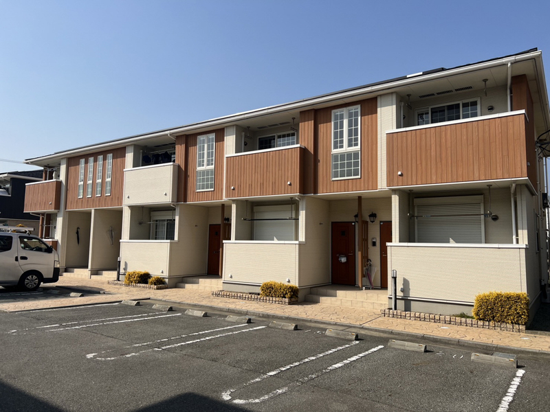 チェリー・ブロッサムⅢ