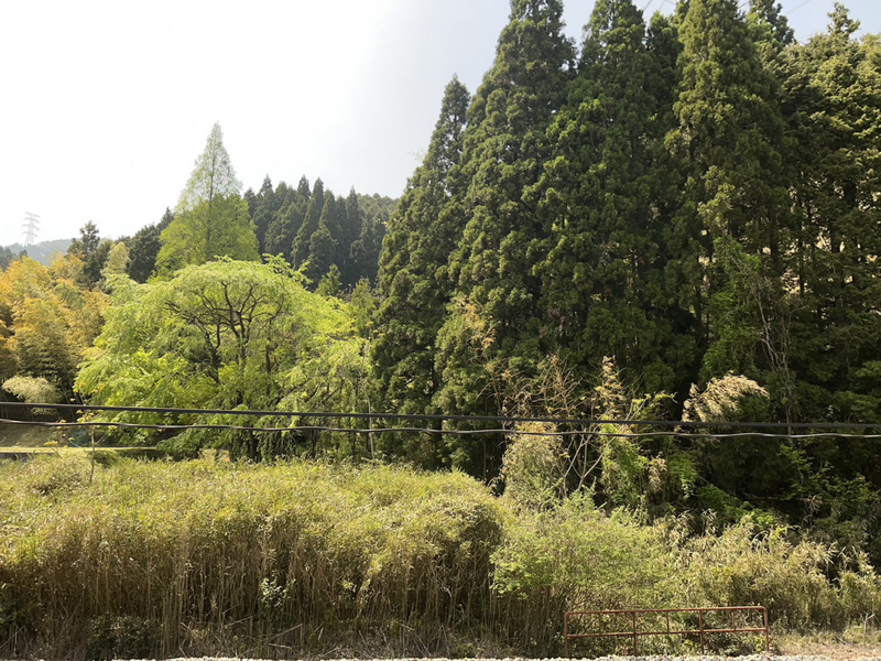 眺望 写真20