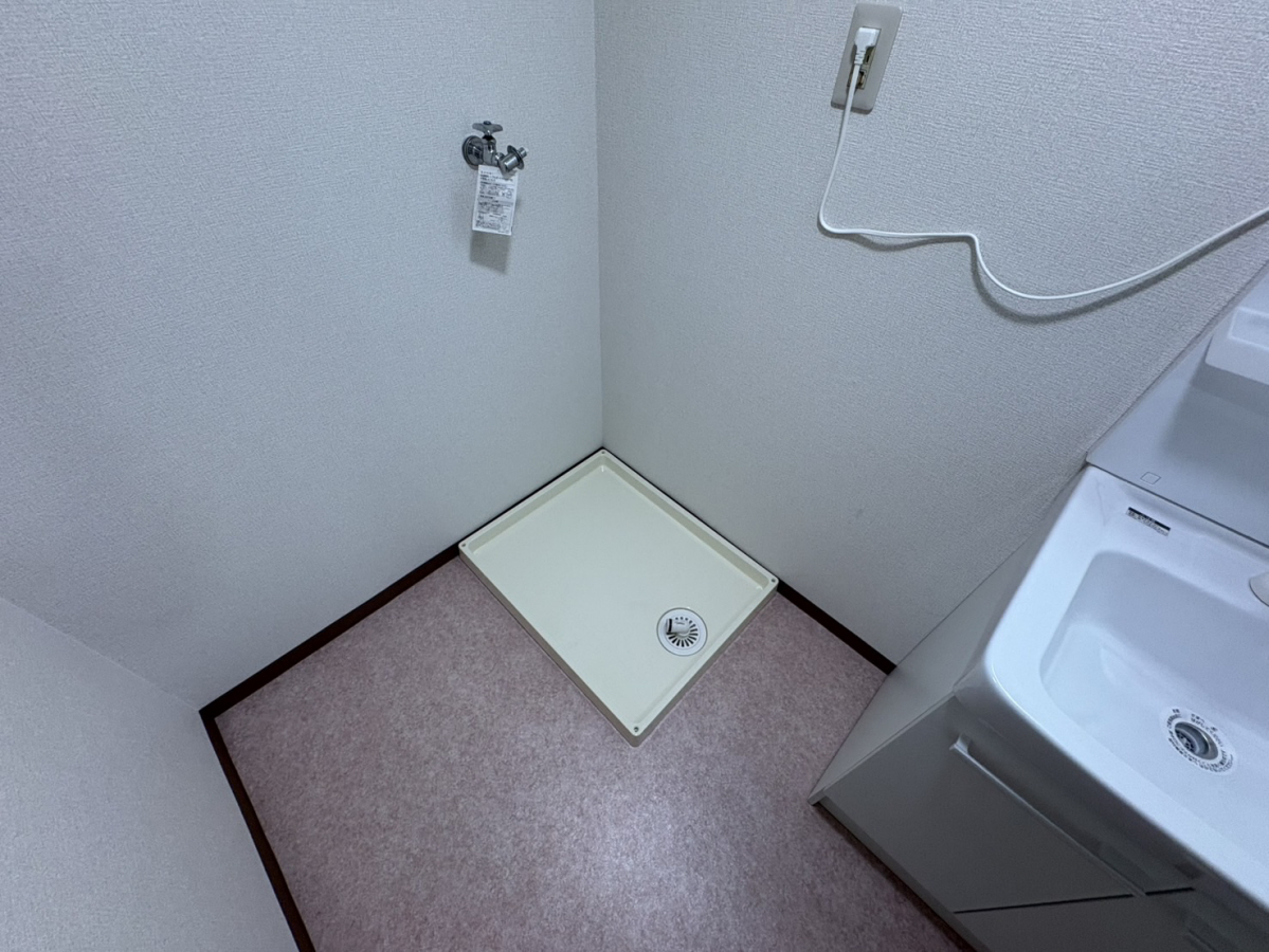写真29