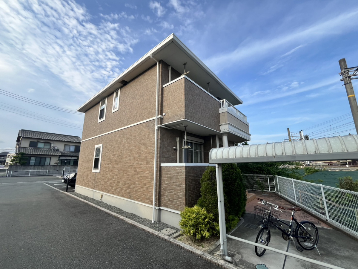 モーニンググローリーⅢ