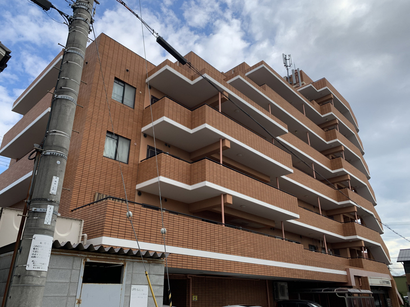 セントポーリアⅠ