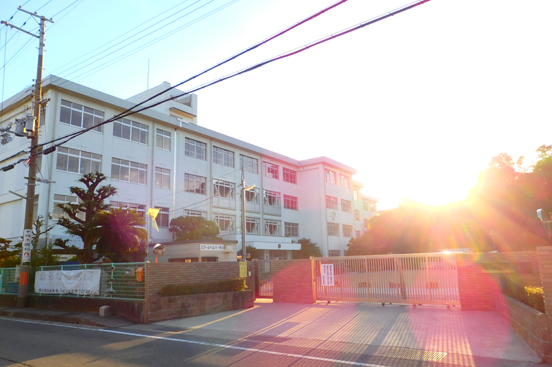 荒川小学校まで1149m (徒歩15分) 写真21