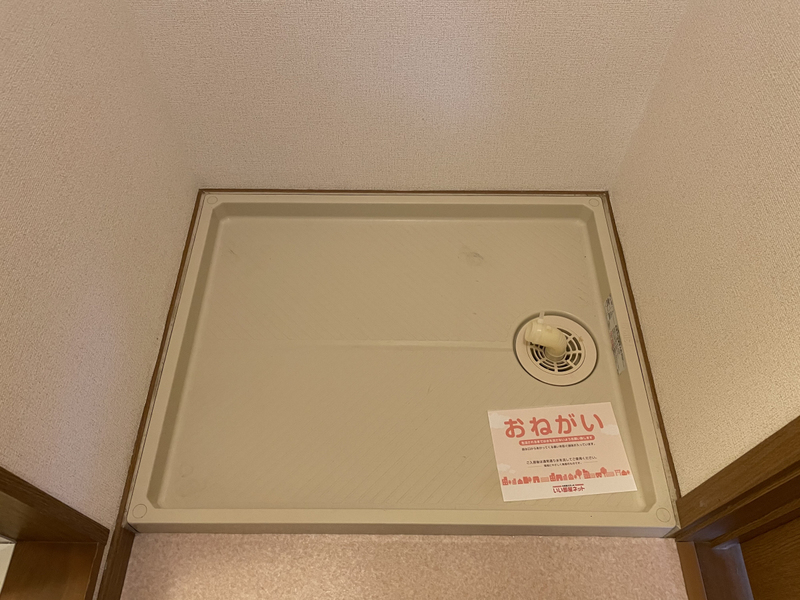 写真28