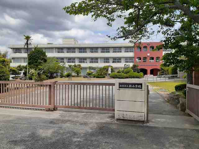社小学校まで665m (徒歩9分) 写真21