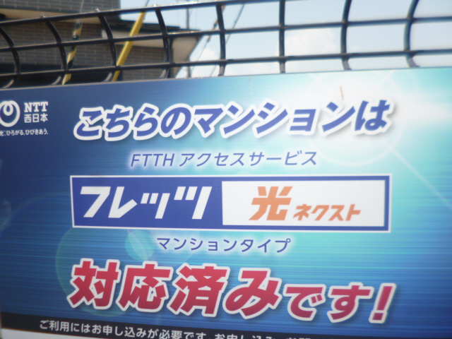 写真28