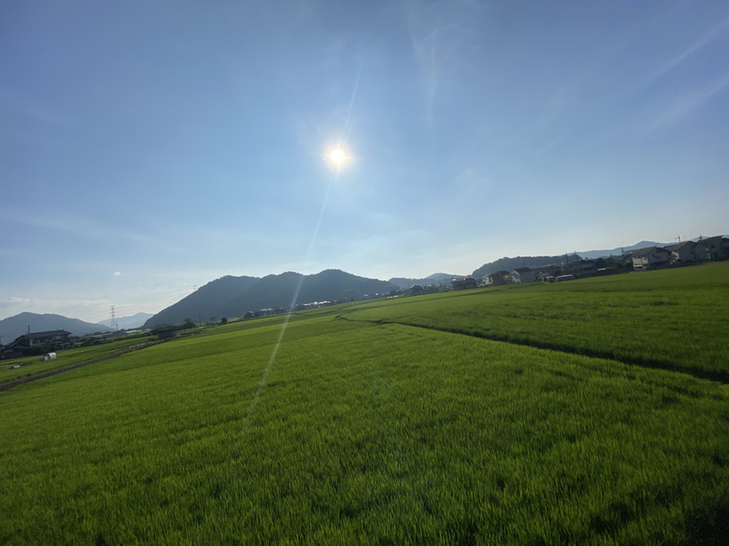 眺望 写真28