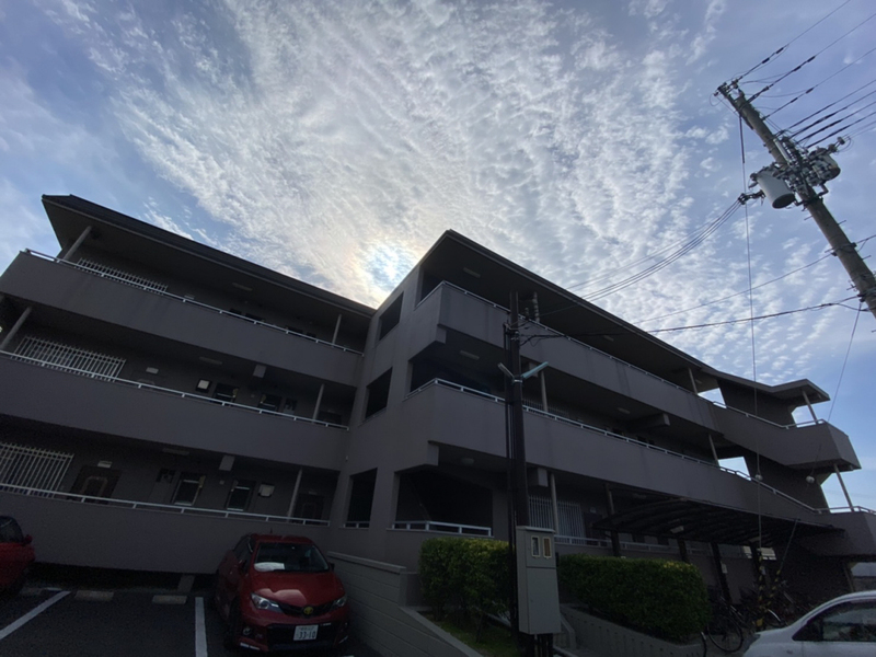 セルジュYS網干