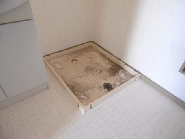 写真19