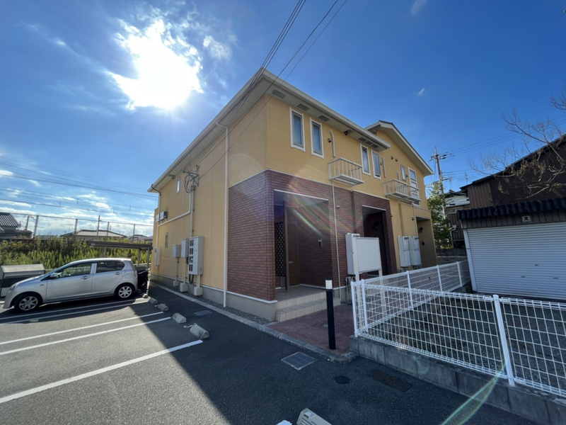 モーニンググローリーⅣ