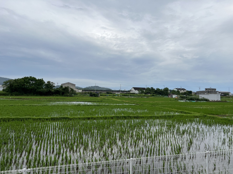 眺望 写真19