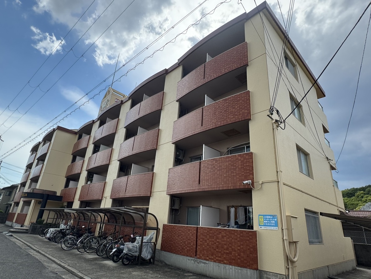 セントポーリア
