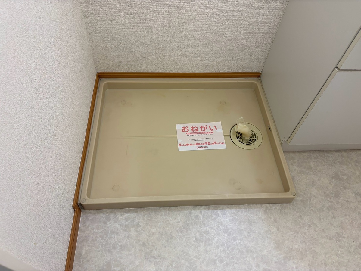 写真29