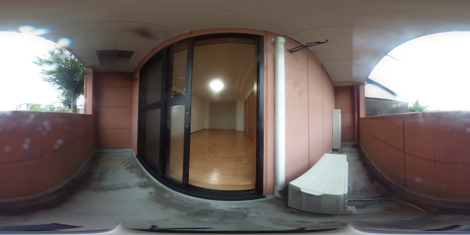 写真37