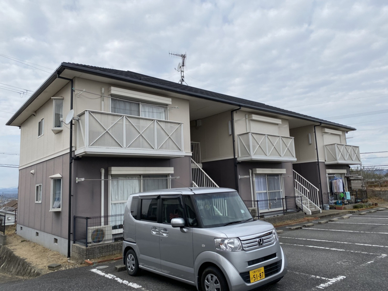 ハイツカンファーツリー