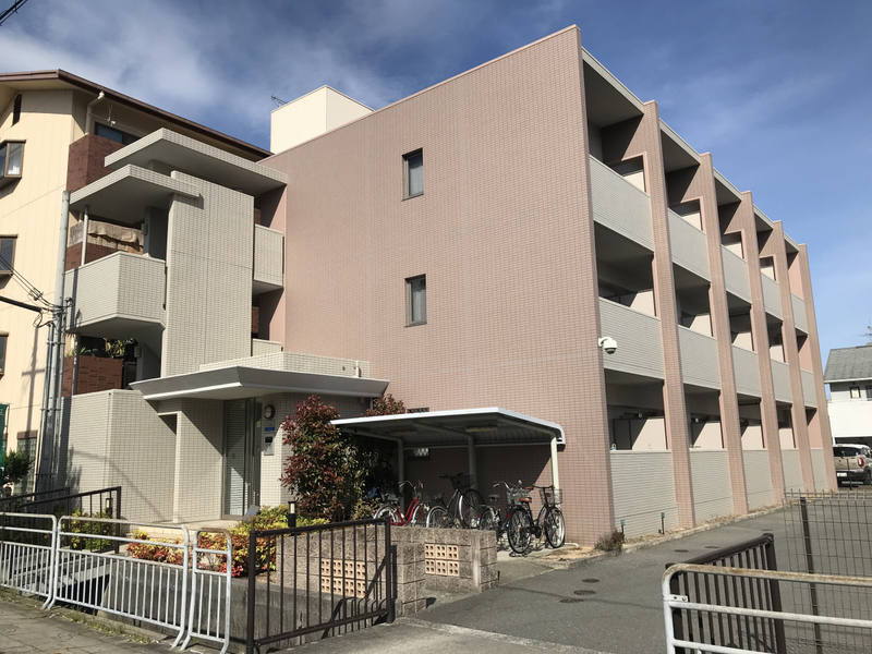 ドゥジェーム・パレー